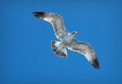 PC-DSC_5450.jpg