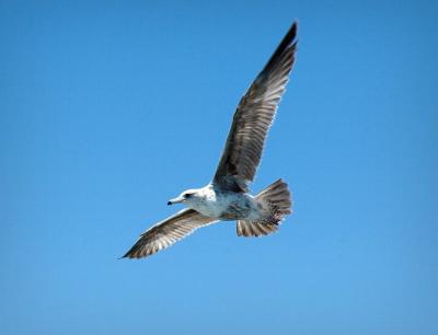 PC-DSC_5437.jpg