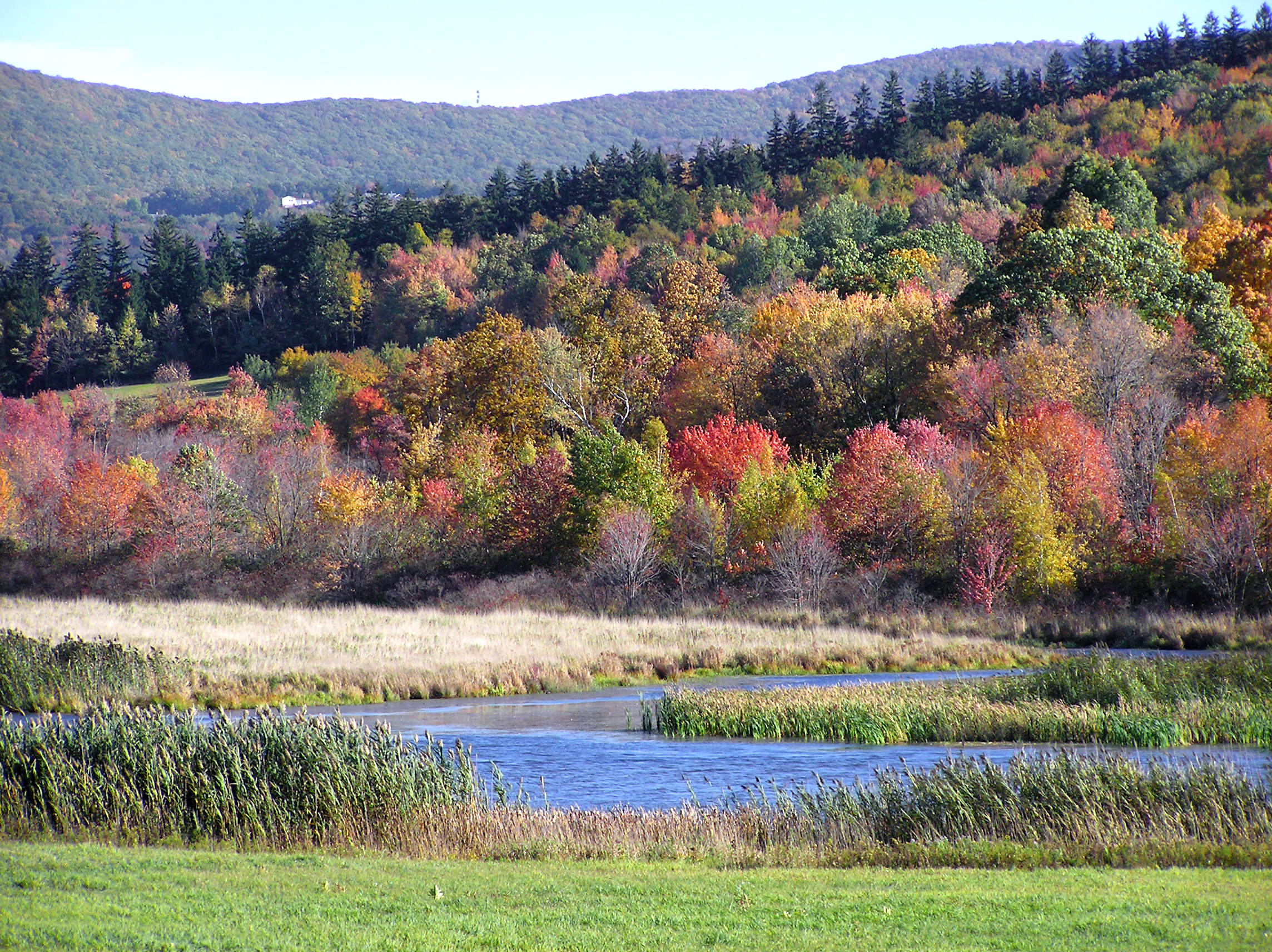 Fall in the North East