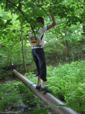 IMG_8831.jpg