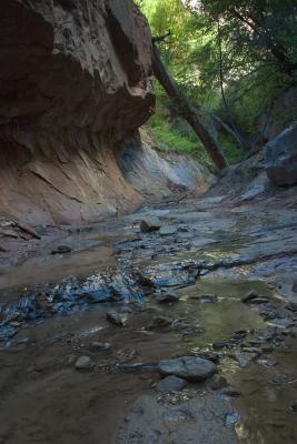 Box Canyon