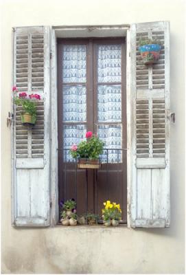 Lace Curtain