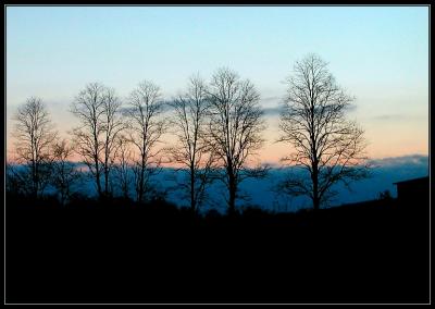 Locust Row Sunrise.jpg