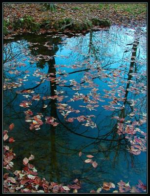 Alder Branch reflections  Pc010012.jpg