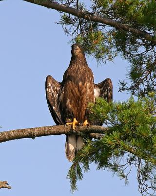 IMG_9462-final.jpg