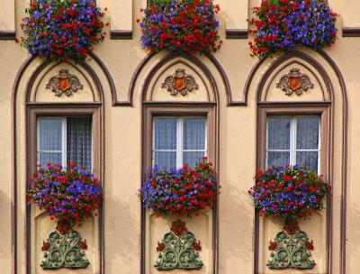 Six flowerboxes in Regensburg