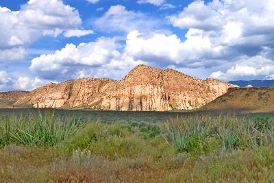 Snow Canyon   (Utah's Dixie)