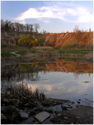 Pond at the Brickworks