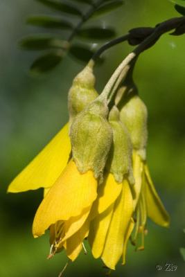 CRW_3034.jpg