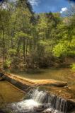 bowmans hill wildflower preserve: millrace pond