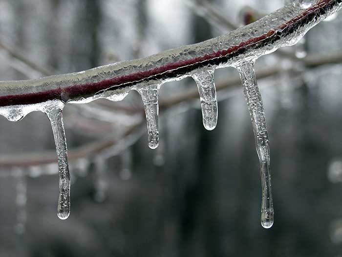 ice5.JPG