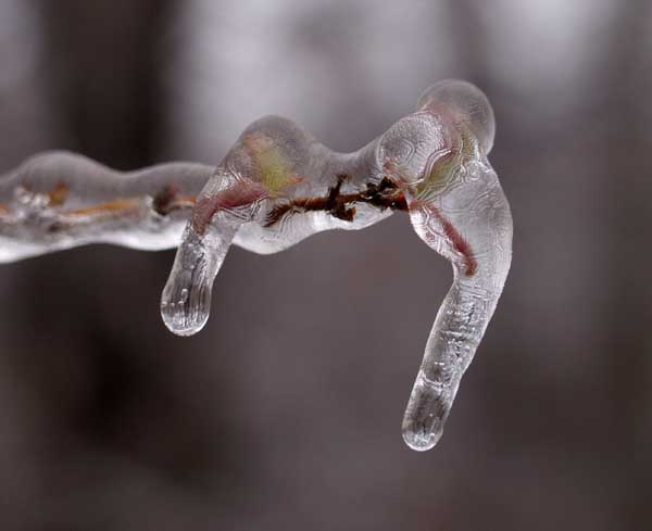 ice8.JPG