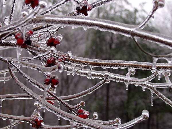 ice9.JPG