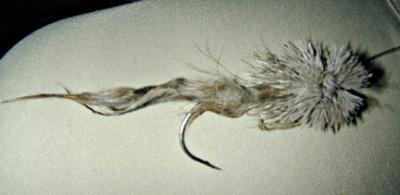 Taimen Fly 1368.jpg