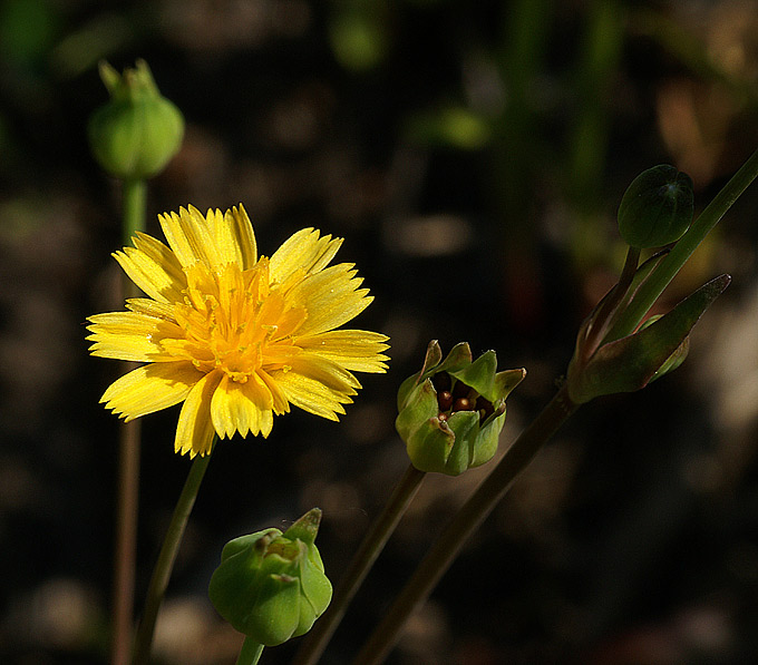 PICT0900.jpg