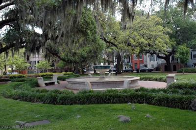 u18/savannahga/medium/43066050.Dsc_00433.jpg