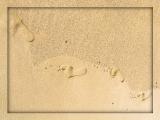 Toeing the line