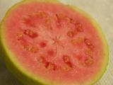 Guava slice