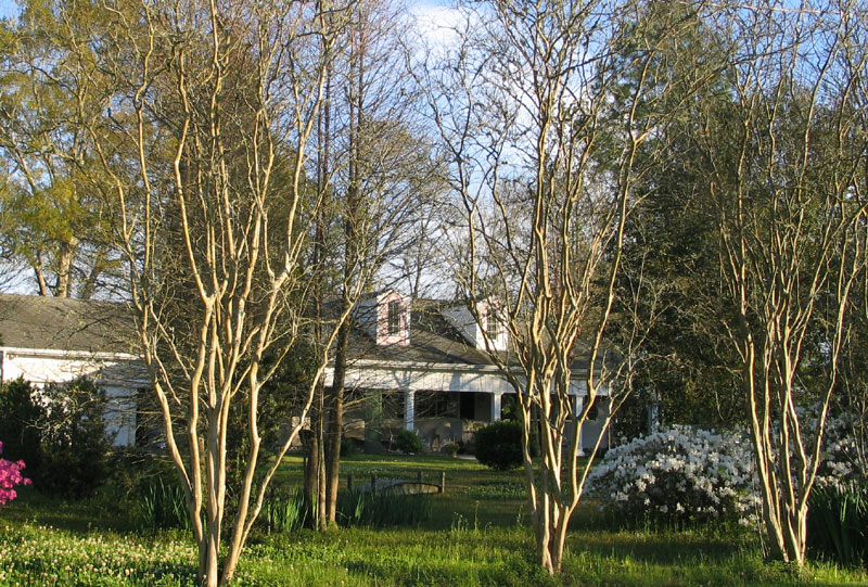 Perilloux Place