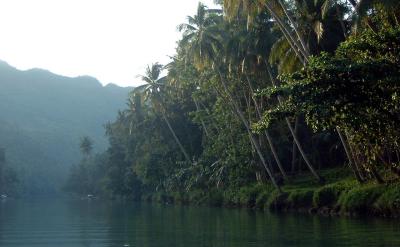 The Loboc River