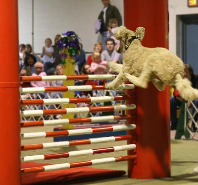 Winner of high jump contest