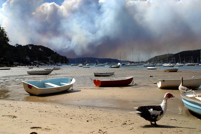 Bushfire at Ku-ring-gai Chase National Park