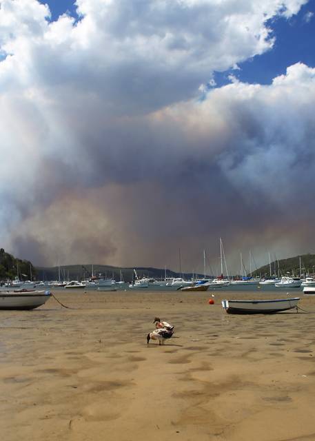 Bush fire at Ku-ring-gai Chase National Park from Careel Bay