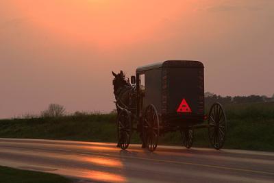 Scenes From Amish Country
