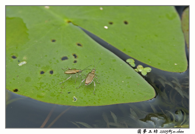 DSC_1626.jpg