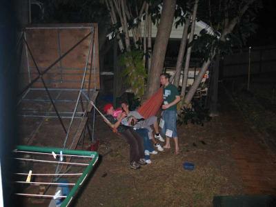 Action in the hammock