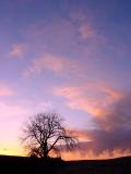 SUNSET 3.jpg