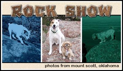 ROCK SHOW