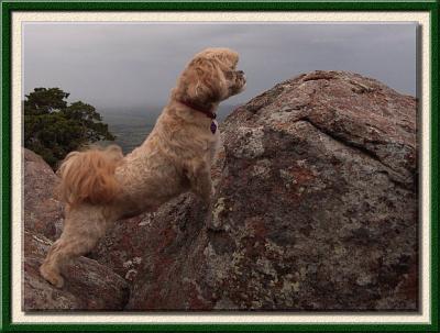 Looking Over
