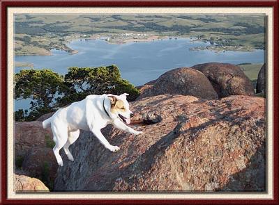 Leap of Faith