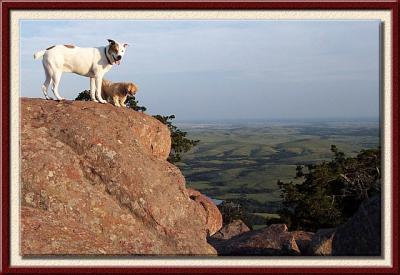 On the Edge