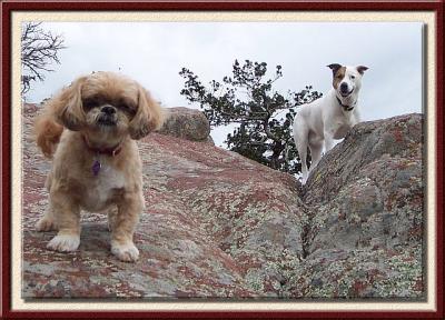 Um, Griffy Kicked Rocks on Me