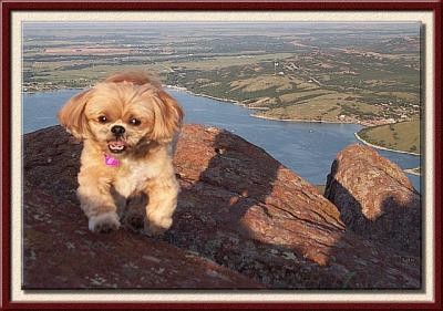 One Last Climb to the Top