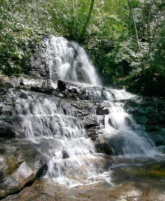 Laurel Falls