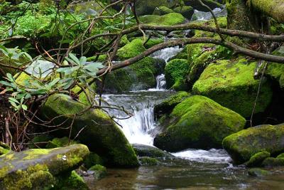  Roaring Fork Cascade