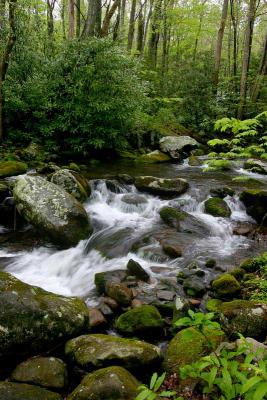  Roaring Fork Cascade