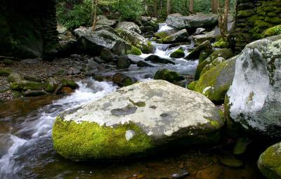 Mossy Boulder