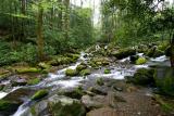 Two Streams Merge