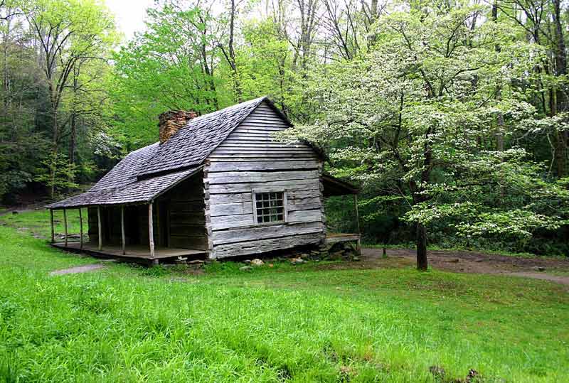  Roaring Fork Cabin