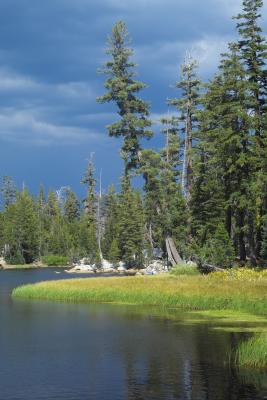 fishing at mosquito lake