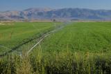 irrigation antelope valley