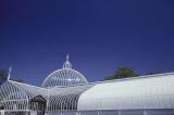 Kibble Palace 85