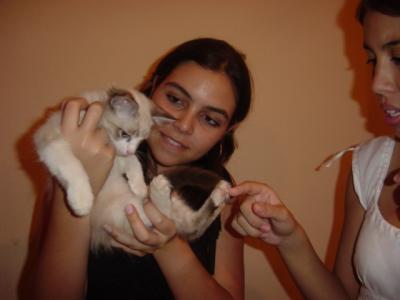 Luiza og Linda Assasina (fallegur mordingi - nafn kattarins - Go figure).JPG