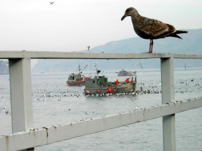 birds eye view.jpg