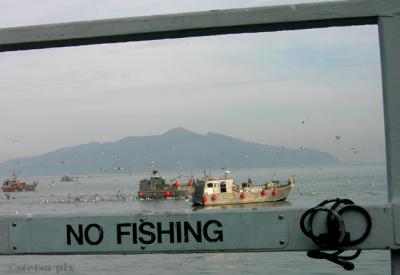 no fishing copy.jpg