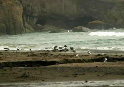 CRW_3819_RT16.jpg
